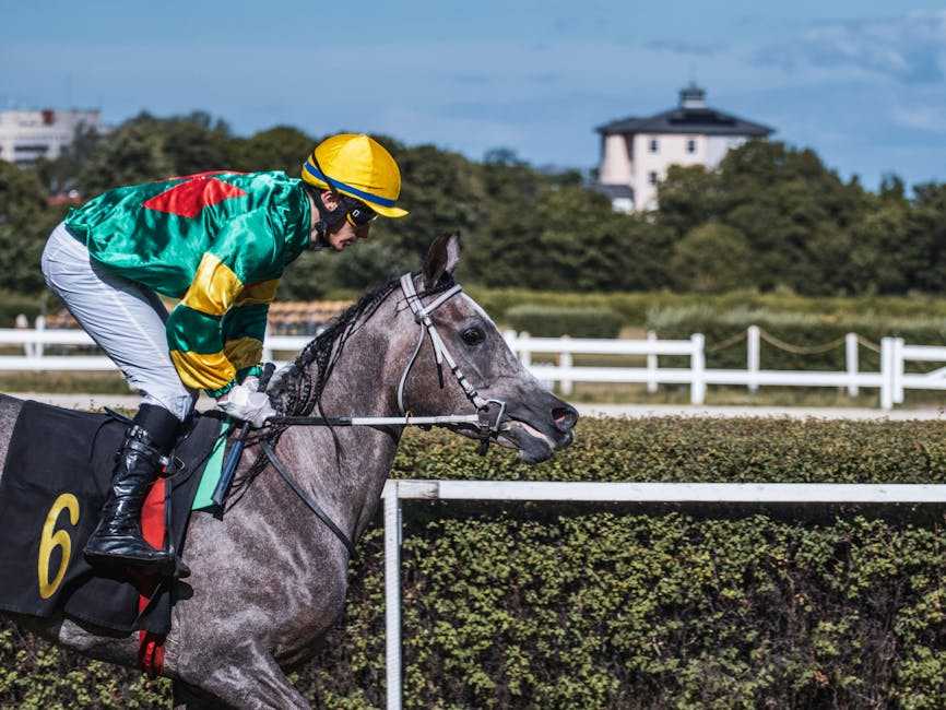 Monthly Recap: Major Wins and Upsets in Sports Betting