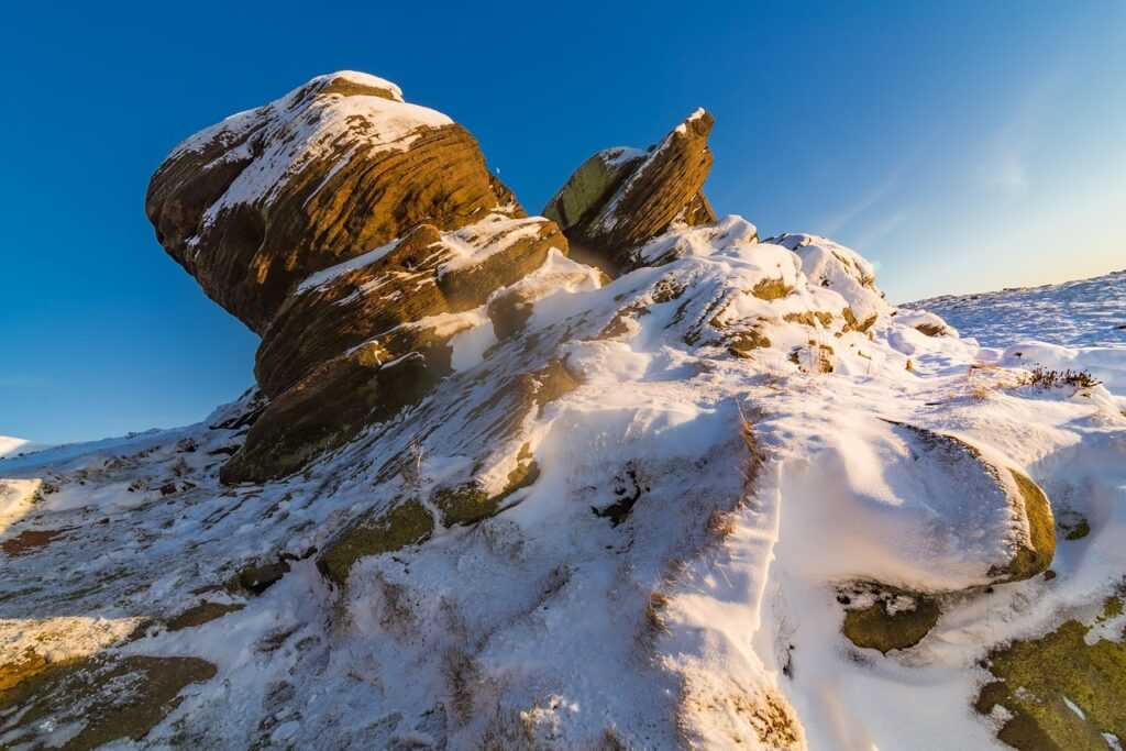 colour in food s-40533e1(exw)