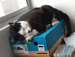 why are nuts bad for tadicurange disease