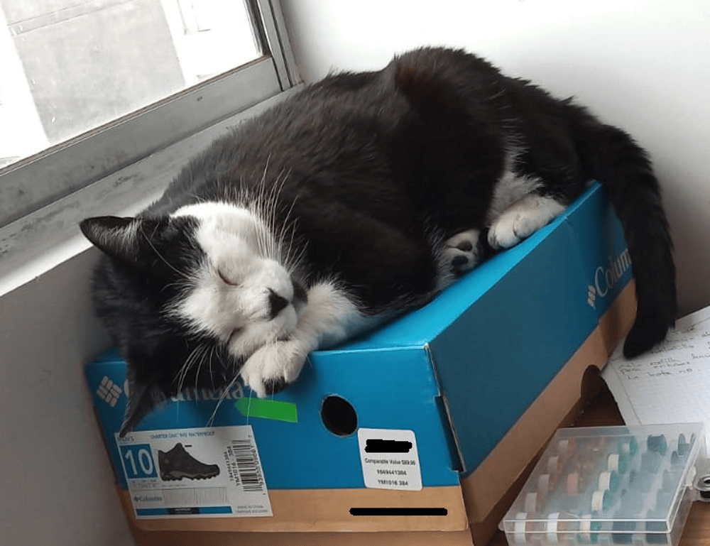 why are nuts bad for tadicurange disease