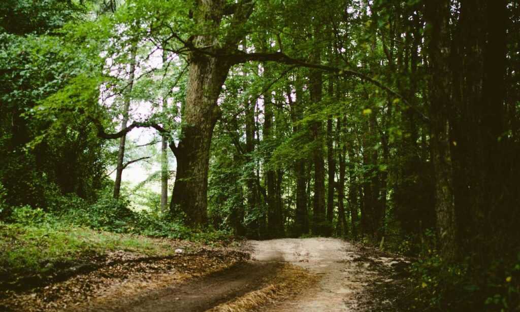 why i can't run warepad0.2 code