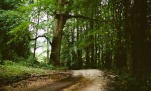 why i can't run warepad0.2 code