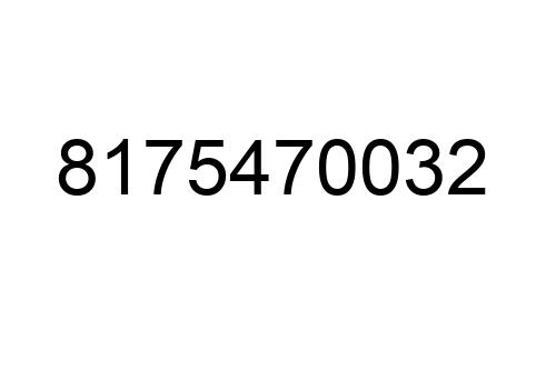 8175470032