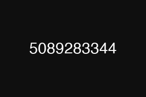 5089283344