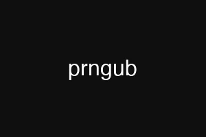 prngub