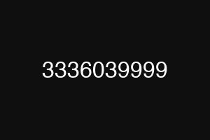 3336039999