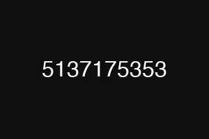 5137175353