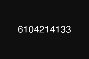 6104214133