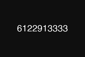 6122913333