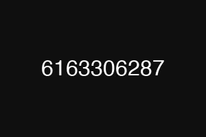 6163306287