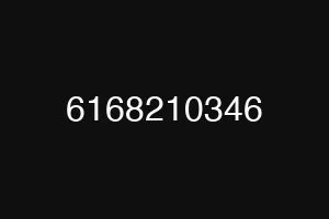 6168210346
