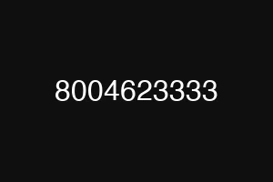 8004623333