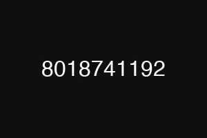 8018741192