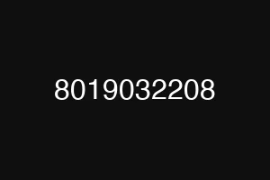 8019032208