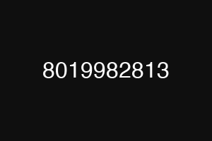 8019982813
