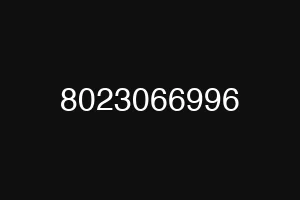 8023066996