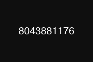 8043881176
