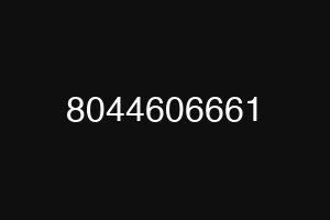 8044606661