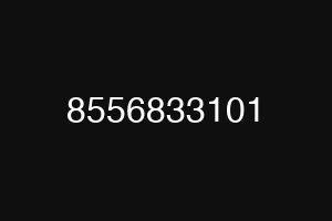 8556833101
