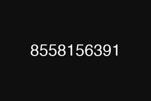 8558156391