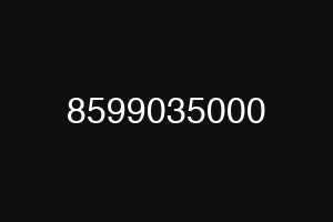 8599035000