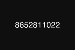 8652811022