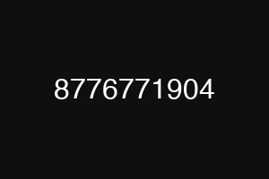 8776771904