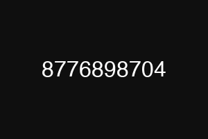 8776898704